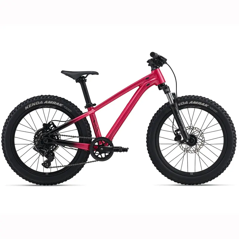 2026 Liv Stp 20 Fs Kids' Hardtail Mountain Bike 1