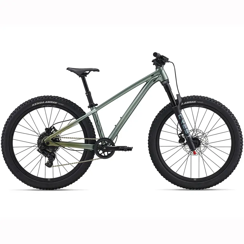 2026 Liv Stp 24 Youth Hardtail Mountain Bike 1