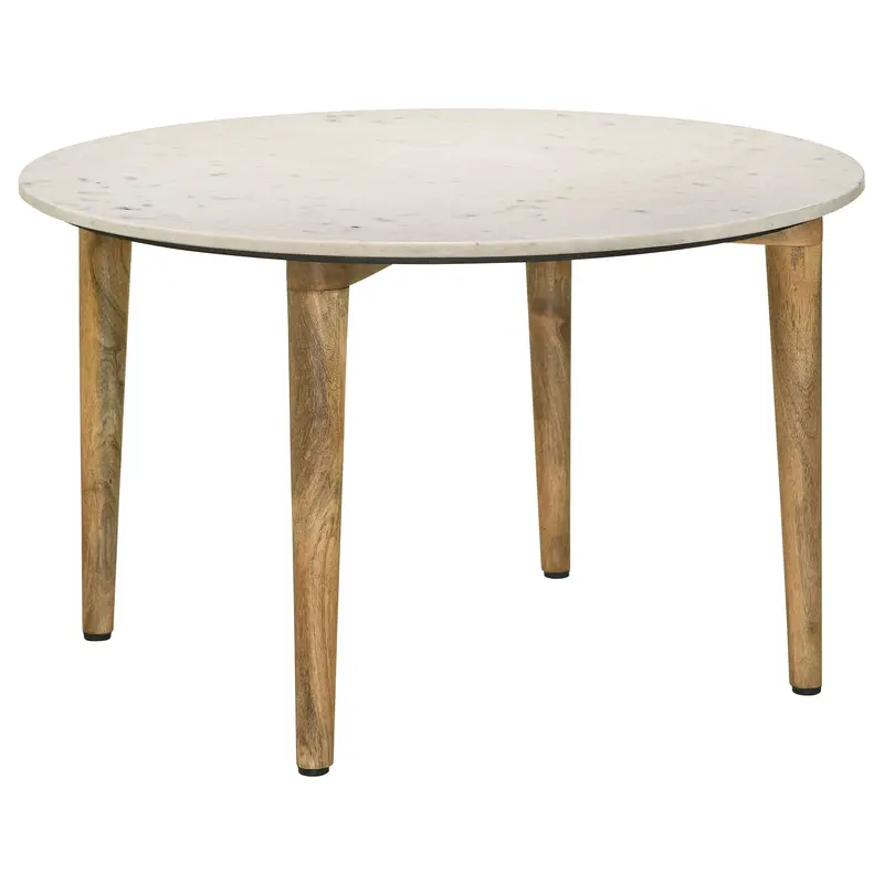 Aldis Low Profile Coffee Table 1