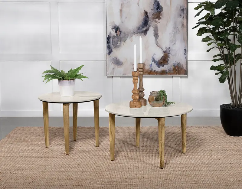 Aldis Minimalist Coffee Table Group 1