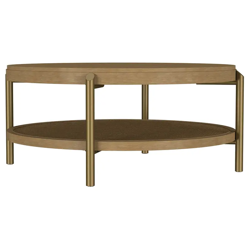 Arini Low Profile Coffee Table 1