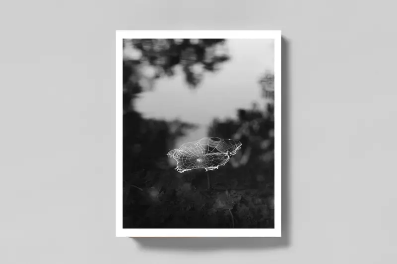 At Night Gardens Grow Vol. 1 Artist Edition 1