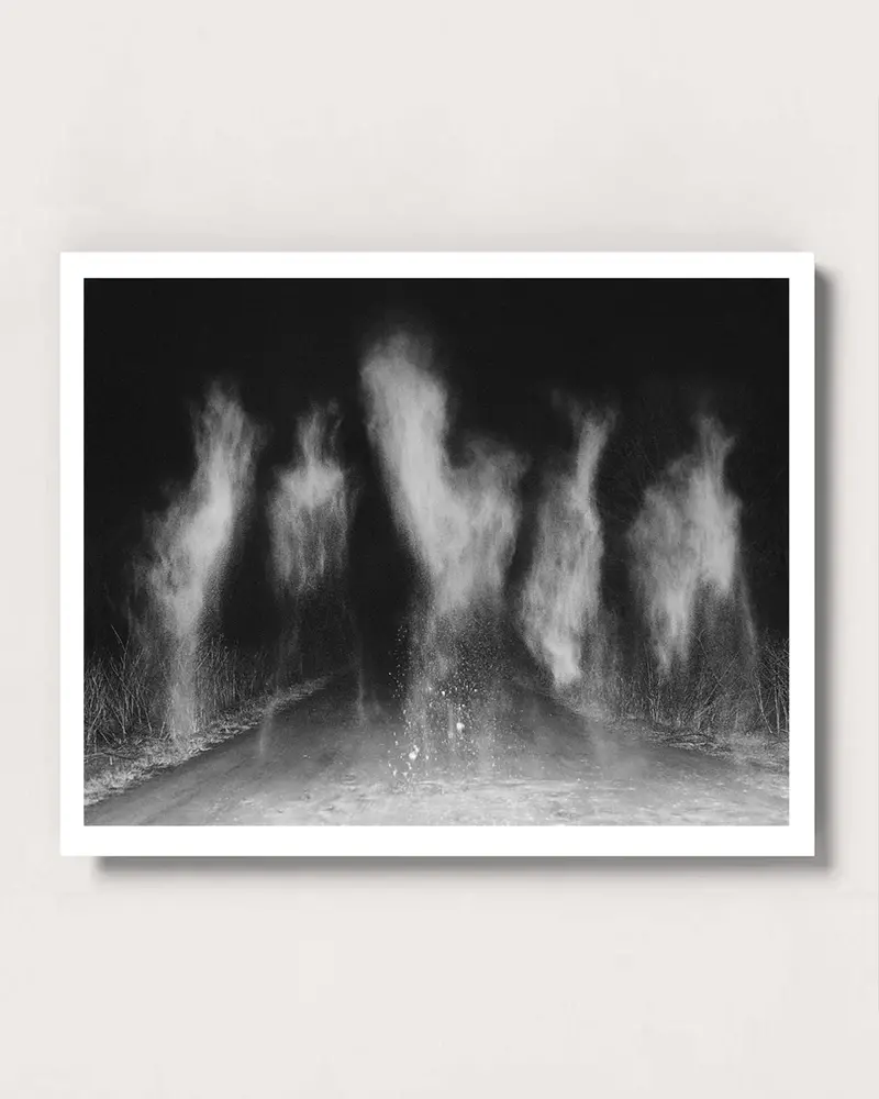 At Night Gardens Grow Vol. 2 Artist Edition 1