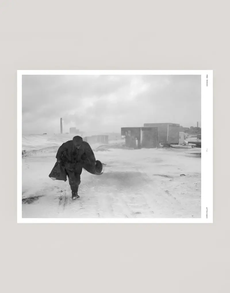 Cookie In The Snow Art Print 1