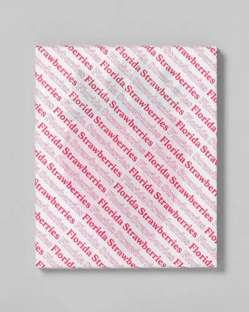 Florida Strawberries Limited Art Print 1