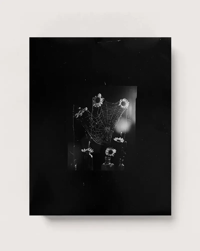 Flowers Drink The River Artist Edition Print 1