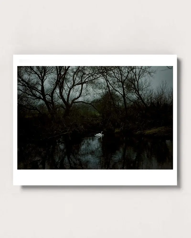 Four Winters Artist Edition Print 1