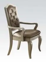Francesca Silver-Champagne Arm Chairs (Set Of 2) By Acme Furniture – Model 62083 1