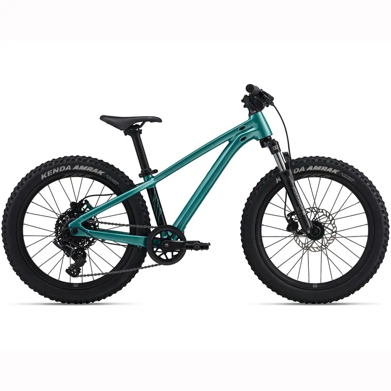 Giant Stp 20 Full-Suspension Kids’ Mountain Bike – 2026 1