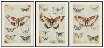 Jossletts Gallery-Wrap Wall Art Collection (Set Of 3) 1